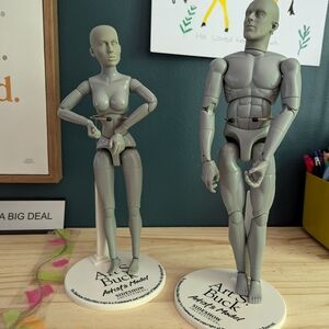 Art S. Buck Anatomical Models